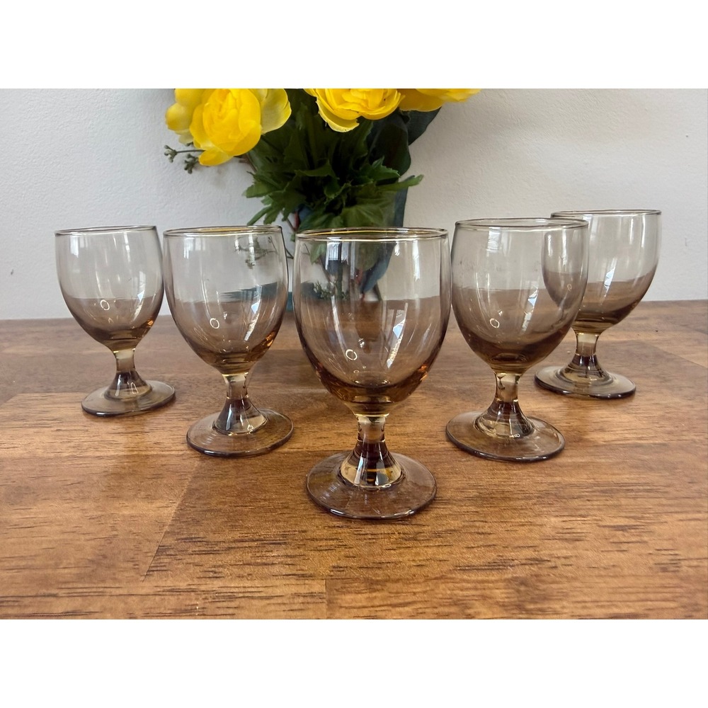 Vintage Bormioli Rocco Michelangelo Smoked Cordial Glass Set‎ Italian Crystal